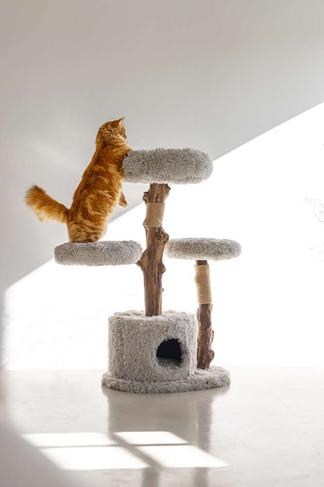 Designed by Lotte Kratzbaum Ziza